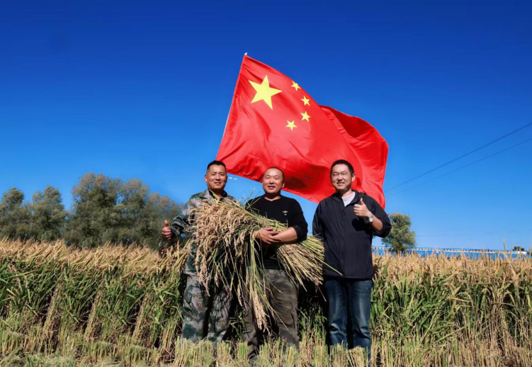 1727663740967373.png 图片5.png
